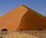 dunes-and-trees-namib-desert-resize