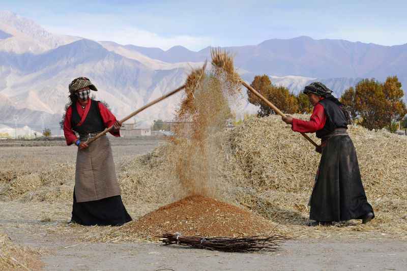 women-winnowing-bhutan