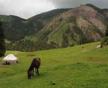 yurt-and-horses-at-chon-kemin-kyrgyzstan