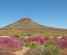 Namaqualand