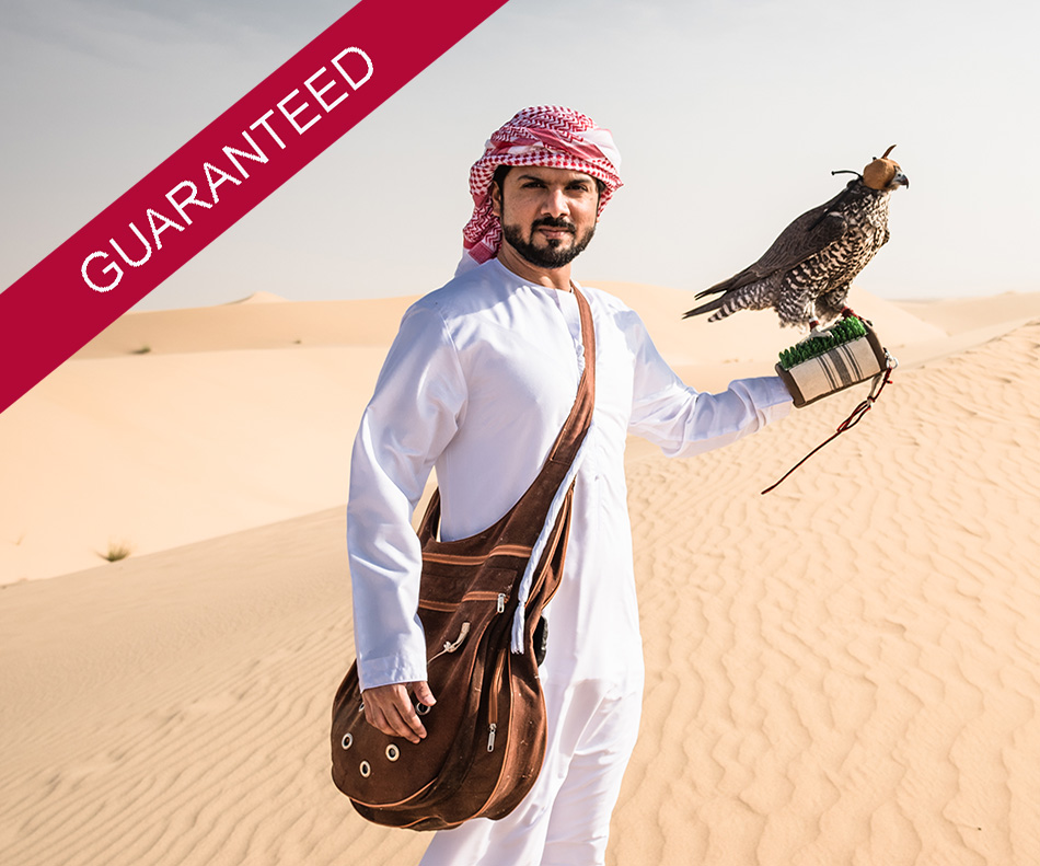 arabic sheik on the desert holding a falcon