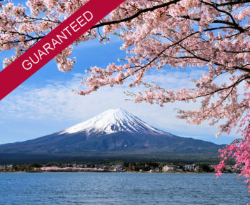 Mount Fuji and Cherry tree