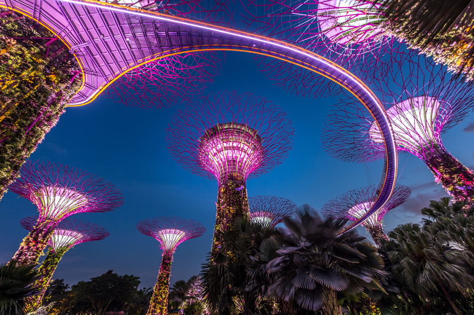 Light show at Garden by the bay