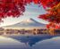 Colorful Autumn Season and Mountain Fuji with morning fog and re