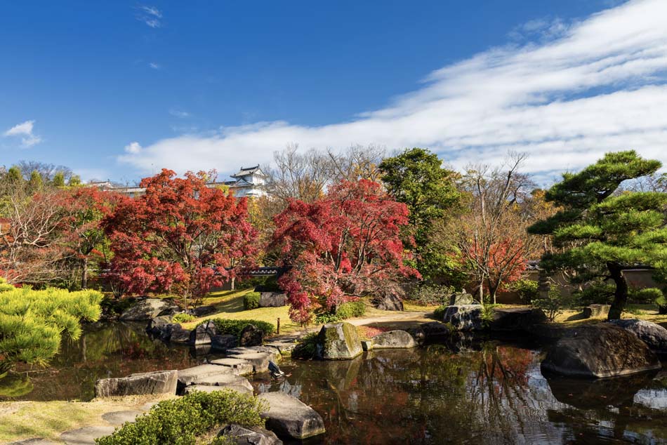 Koko-en autumn garden with Himeji castle, Japan