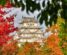 Weiße Burg von Himeji Japan