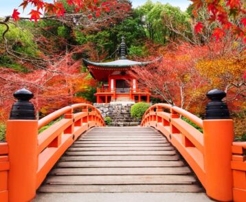 Japanese autumn scene. Travel to Kyoto.