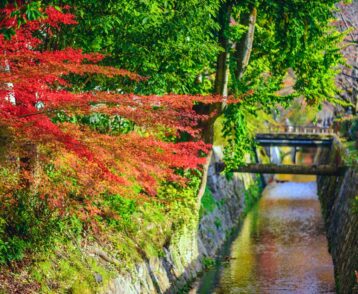 Philospher's Path in Kyoto, Japan
